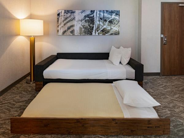 SpringHill Suites by Marriott Dallas Richardson/University Area : photo 1 de la chambre king suite with sofa bed and trundle bed - hearing accessible
