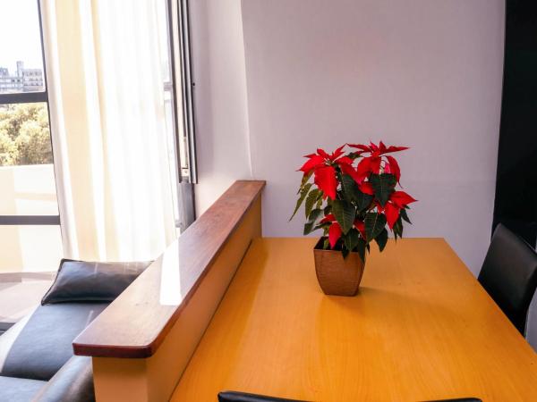 Rosario Suites : photo 5 de la chambre appartement en duplex