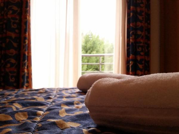 Palace Hotel Due Ponti : photo 5 de la chambre chambre double