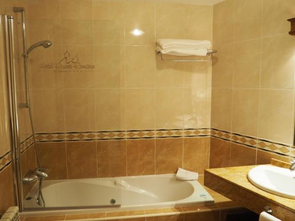 Hotel Ele Puente Romano de Salamanca : photo 8 de la chambre chambre double ou lits jumeaux