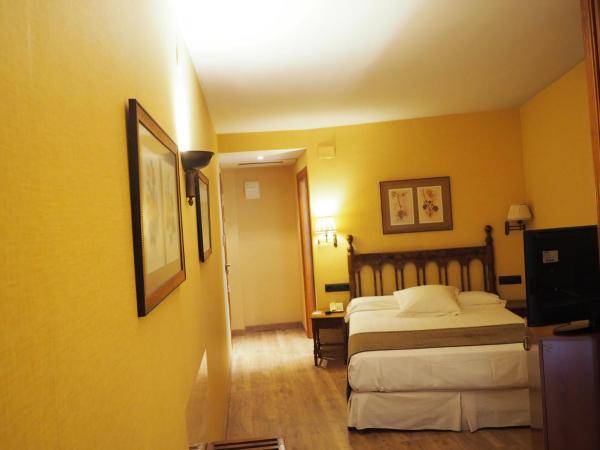 Hotel Ele Puente Romano de Salamanca : photo 2 de la chambre chambre simple