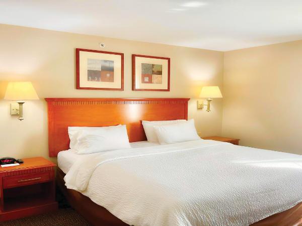 Candlewood Suites San Antonio NW Near SeaWorld, an IHG Hotel : photo 1 de la chambre suite 1 chambre lit king-size avec douche accessible en fauteuil roulant