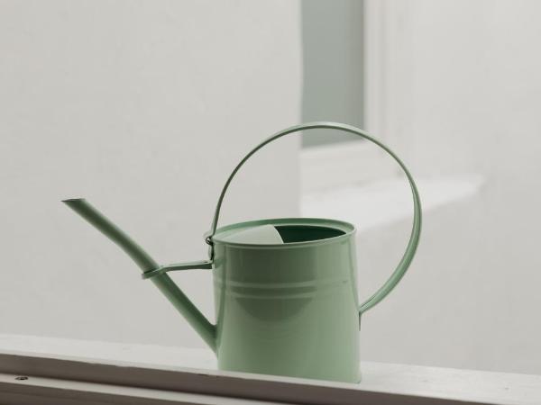 Das Grüne Haus - Boutique Apartments ecofriendly : photo 9 de la chambre appartement avec vue sur la montagne