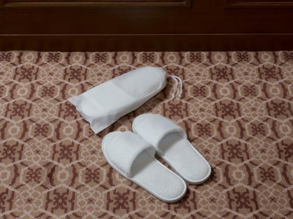Hotel Nikko Princess Kyoto : photo 10 de la chambre suite junior lits jumeaux - non-fumeurs