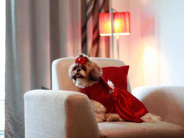 Novotel Ahmedabad : photo 9 de la chambre pet friendly studio suite with living-cum-bedroom, kitchenette and premier lounge access