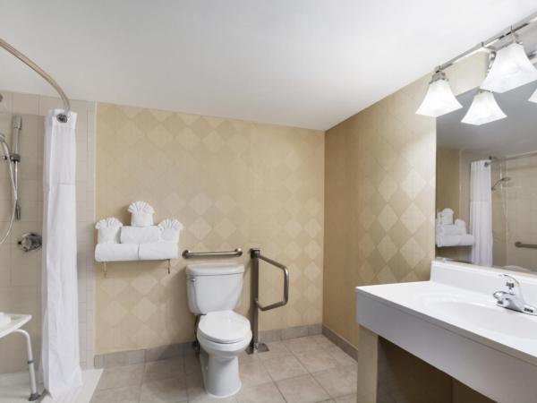 Wyndham Garden Dallas North : photo 5 de la chambre chambre lit king-size - accessible aux personnes à mobilité réduite