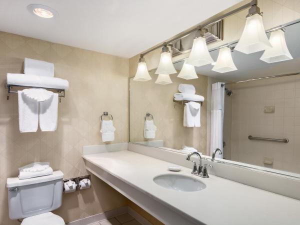 Wyndham Garden Dallas North : photo 1 de la chambre chambre lit king-size premium