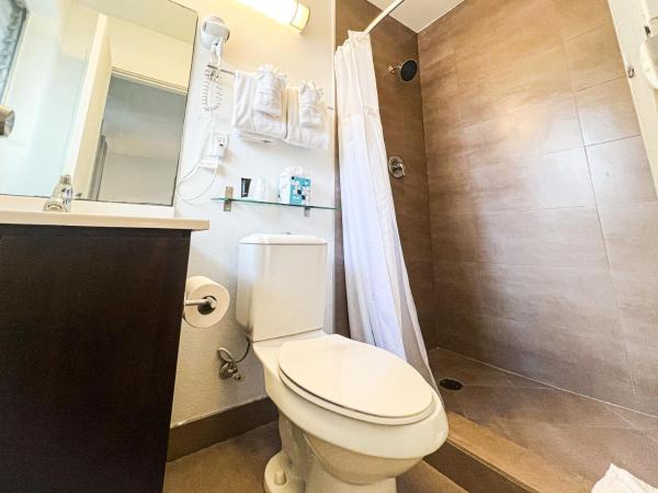 Winterset : photo 1 de la chambre studio de luxe avec 2 lits queen-size 