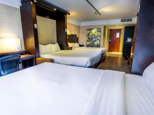 LHotelQuébec : photo 4 de la chambre studio avec 3 lits queen-size