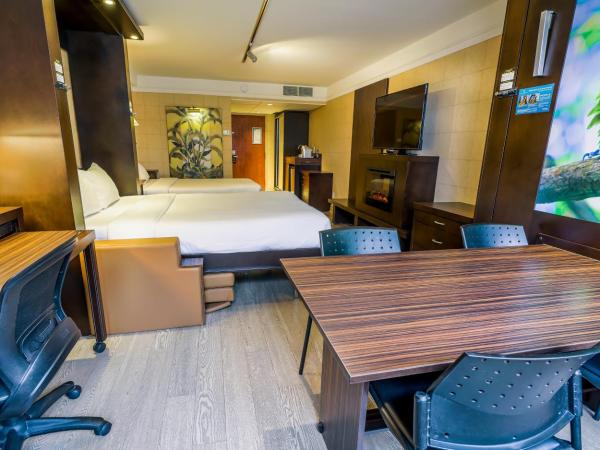 LHotelQuébec : photo 6 de la chambre studio avec 3 lits queen-size