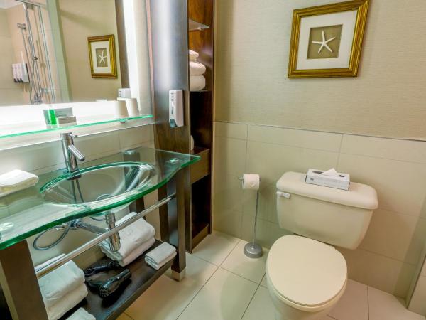 LHotelQuébec : photo 7 de la chambre studio avec 3 lits queen-size