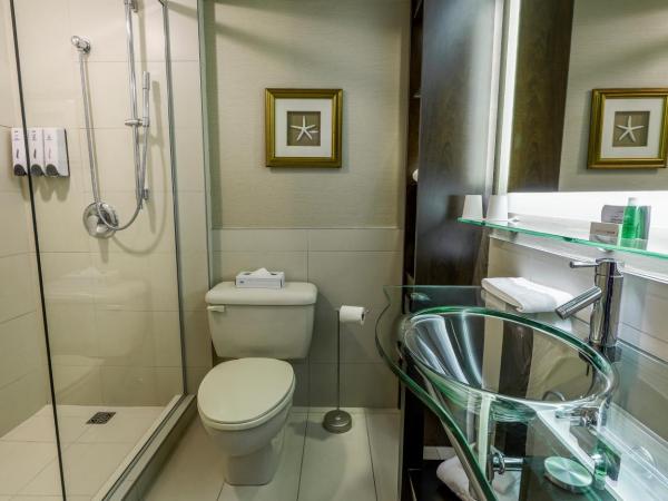 LHotelQuébec : photo 4 de la chambre chambre lit queen-size