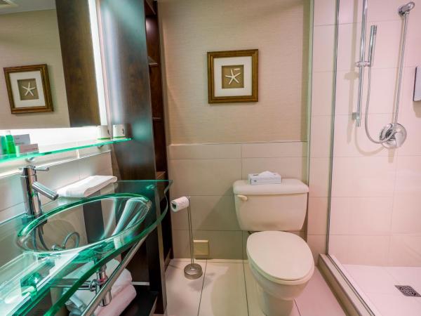 LHotelQuébec : photo 6 de la chambre chambre avec 2 lits queen-size et kitchenette