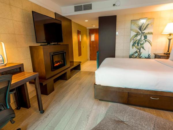 LHotelQuébec : photo 1 de la chambre chambre lit queen-size - vue sur jardin