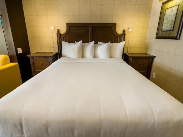 LHotelQuébec : photo 2 de la chambre chambre supérieure avec 2 lits queen-size