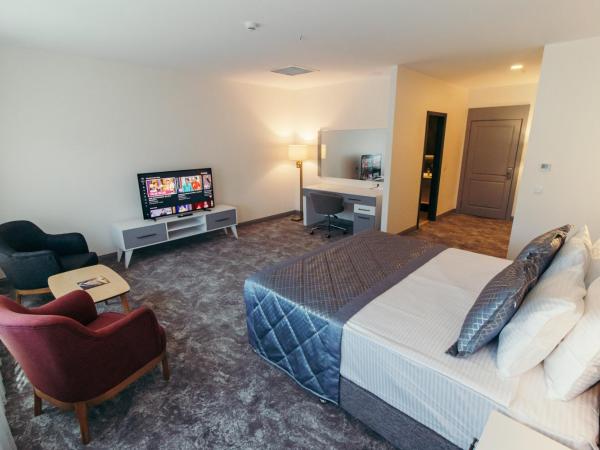 CK Farabi Hotel : photo 4 de la chambre suite - vue sur ville