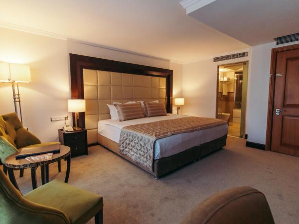 CK Farabi Hotel : photo 3 de la chambre suite avec jacuzzi