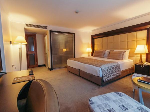 CK Farabi Hotel : photo 5 de la chambre suite avec jacuzzi