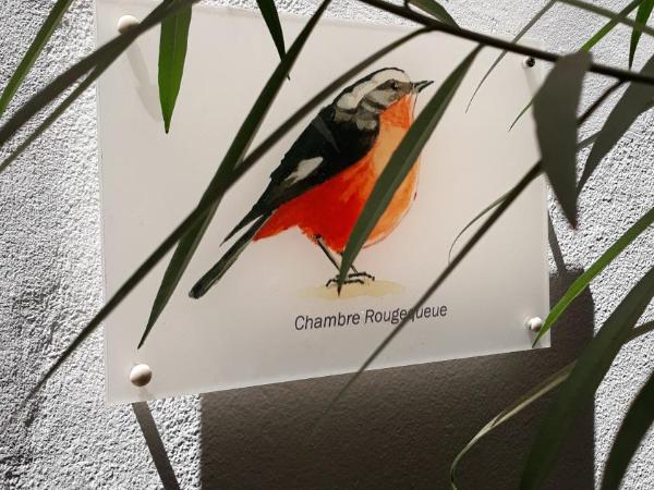 Riad Dar Zampa : photo 5 de la chambre chambre triple rougequeue