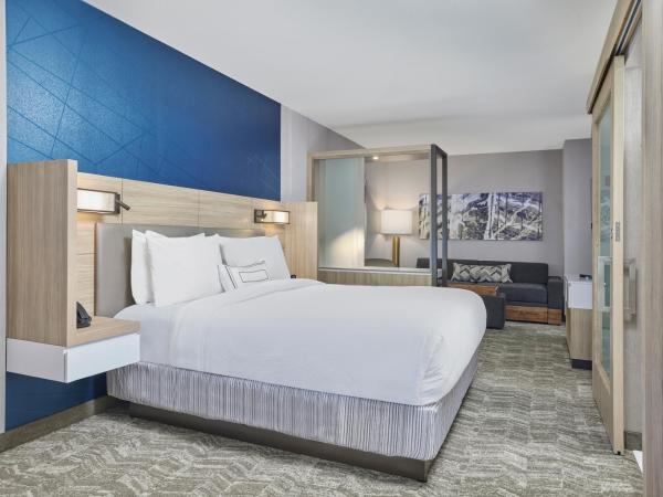 SpringHill Suites by Marriott Chicago Chinatown : photo 2 de la chambre suite lit king-size avec lit gigogne - adaptée aux personnes malentendantes