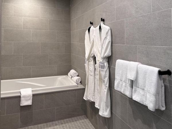 SpringHill Suites by Marriott Chicago Chinatown : photo 4 de la chambre penthouse king suite with sofa bed