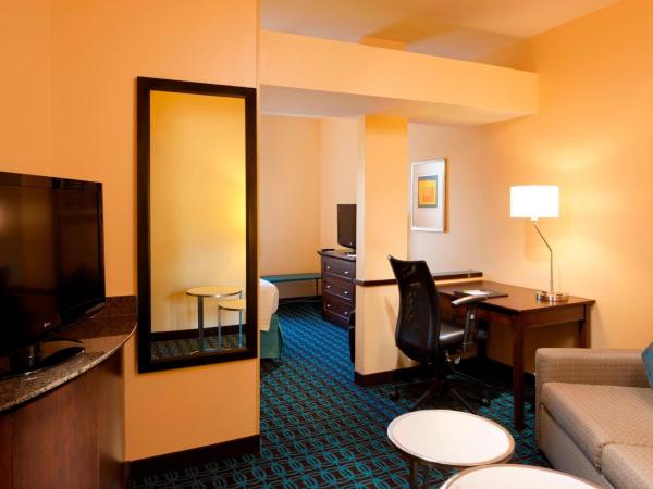 Fairfield Inn & Suites Houston Intercontinental Airport : photo 3 de la chambre studio lit king-size avec canapé-lit