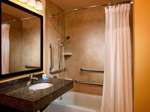 Fairfield Inn & Suites Houston Intercontinental Airport : photo 4 de la chambre studio lit king-size avec canapé-lit