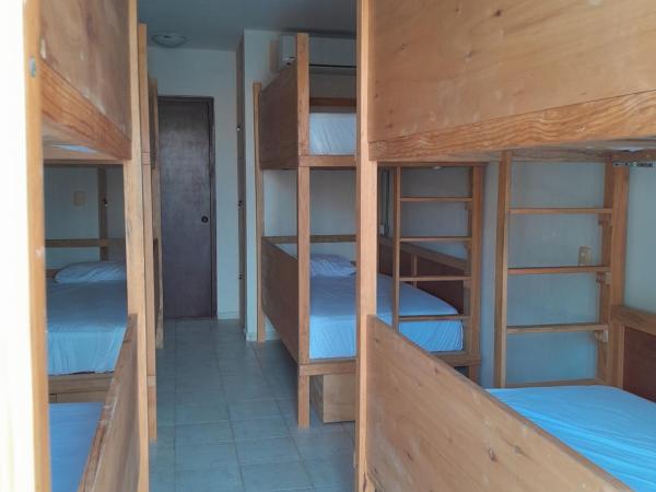 Xtabentun Hostal : photo 4 de la chambre lit superposé dans dortoir mixte