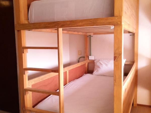 Xtabentun Hostal : photo 4 de la chambre dortoir pour femmes