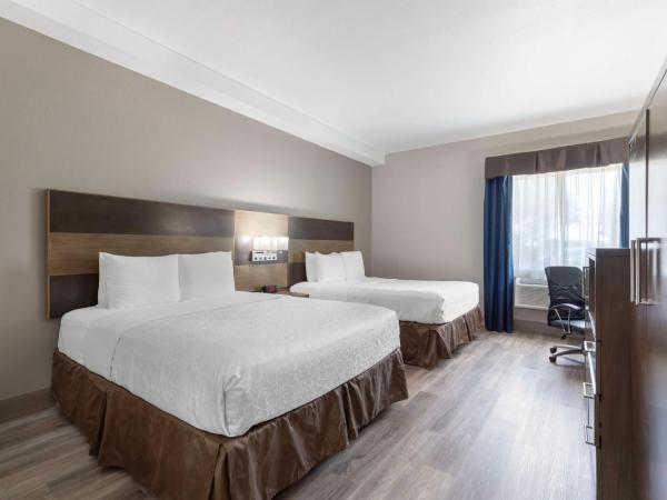 Best Western Plus Downtown North : photo 1 de la chambre suite avec 2 lits queen-size – accessible aux personnes à mobilité réduite