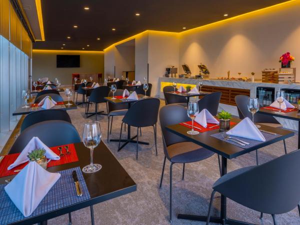 Galeria Plaza Monterrey : photo 7 de la chambre brisas business club king