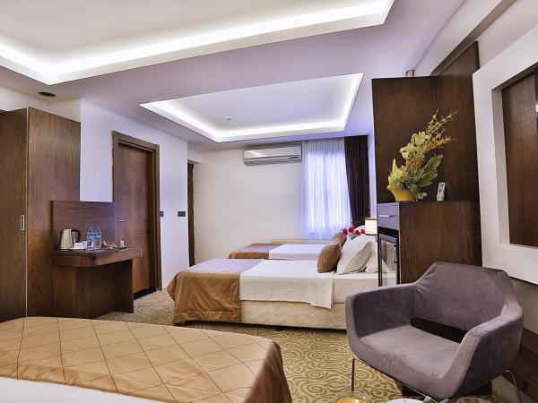 Grand Sagcanlar Hotel : photo 2 de la chambre chambre familiale