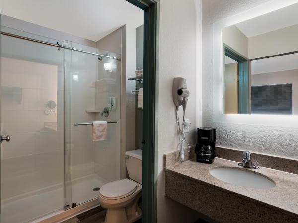 Quality Inn Elk Grove-Sacramento : photo 4 de la chambre chambre lit king-size - non-fumeurs