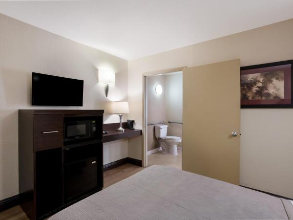 Quality Inn Elk Grove-Sacramento : photo 1 de la chambre chambre simple accessible aux personnes à mobilité réduite - non-fumeurs