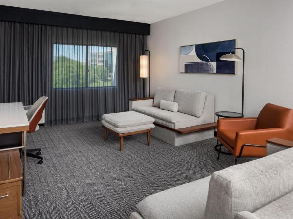 Courtyard by Marriott Charlotte Ballantyne : photo 6 de la chambre suite 1 chambre lit king-size avec canapés-lits