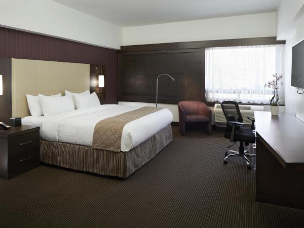 Hotel Ruby Foo's : photo 1 de la chambre chambre lit king-size standard