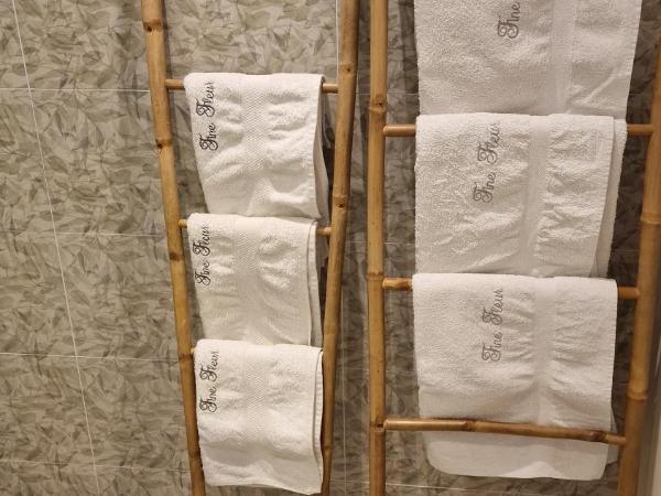 B&B Fine Fleur : photo 7 de la chambre  standaard triple room annex met terras