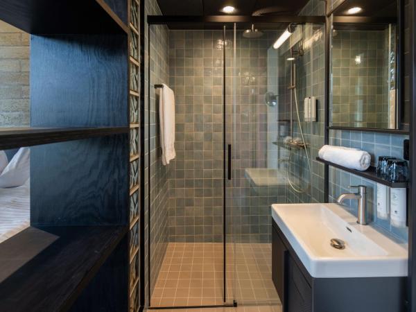 Tailormade Hotel LEO St Gallen : photo 7 de la chambre roof top queen