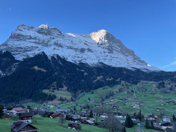 Jungfrau Lodge, Swiss Mountain Hotel : photo 1 de la chambre chambre double avec salle de bains privative et vue sur la montagne