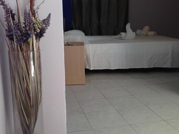 Zefyros Hotel : photo 6 de la chambre chambre simple