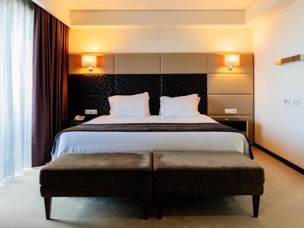 Axis Porto Business & Spa Hotel : photo 2 de la chambre suite
