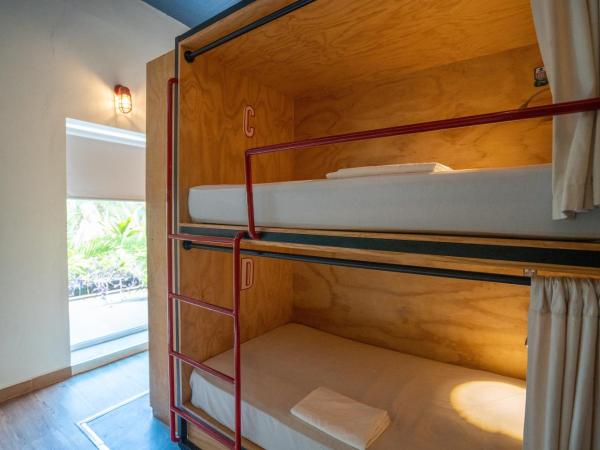 Mayan Monkey Cancun : photo 4 de la chambre lit dans dortoir mixte de 6 lits