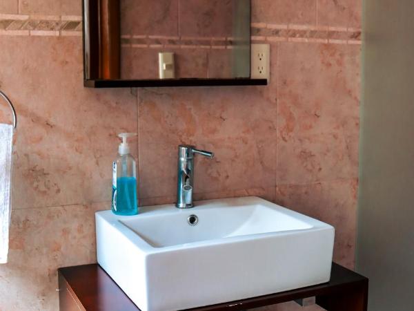 Suites Cuija Coyoacan : photo 6 de la chambre chambre double standard