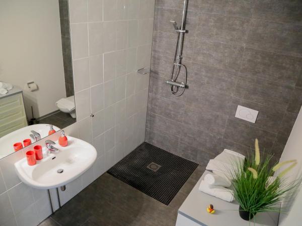 Plantagengut Hosterwitz : photo 2 de la chambre appartement avec terrasse