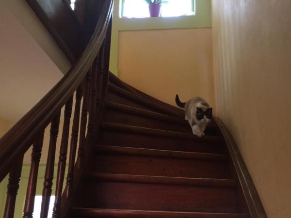 Ravissante petite suite : photo 6 de la chambre chambre double avec salle de bains privative