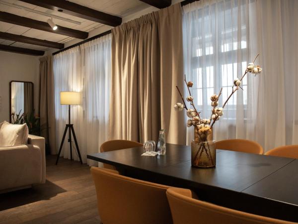 Apartamenty Sowa Toruń : photo 5 de la chambre appartement 1 chambre