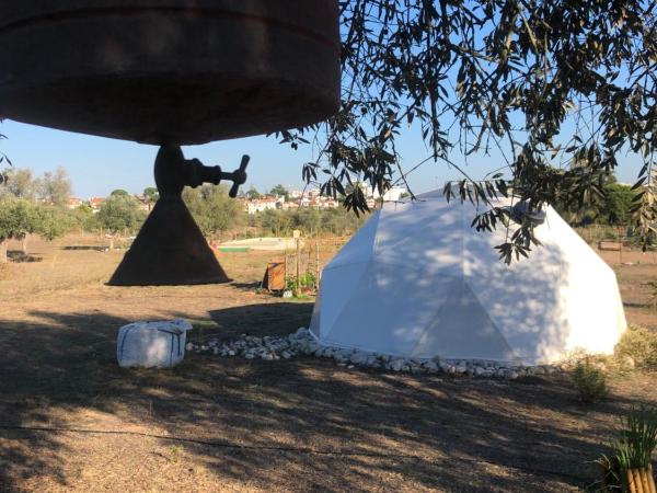 Forest Domes : photo 3 de la chambre tente