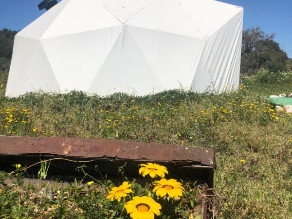 Forest Domes : photo 8 de la chambre tente