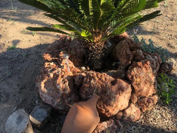 Forest Domes : photo 9 de la chambre tente