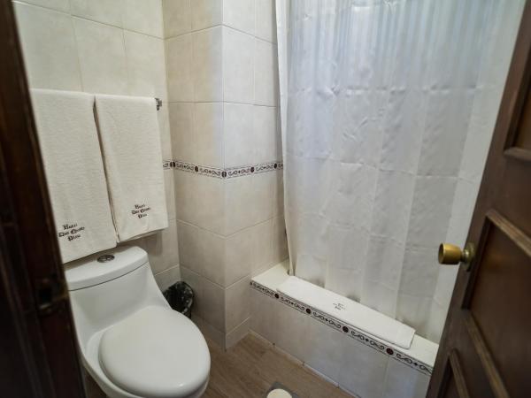 Hotel Don Quijote Plaza - Guadalajara Centro Historico : photo 6 de la chambre chambre double avec 2 lits doubles